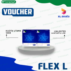VC XL Combo Flex L 12GB / 30Hari